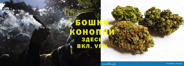 гидра Сосновый Бор