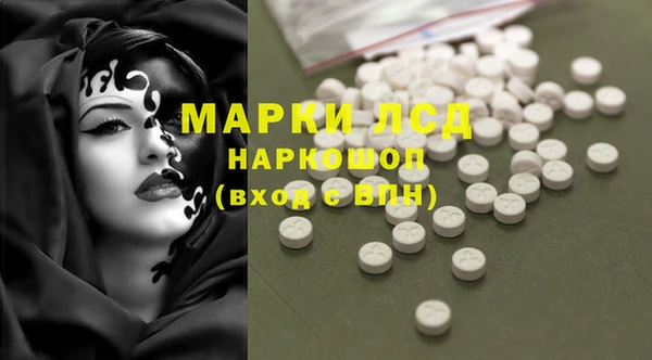 гидра Сосновый Бор