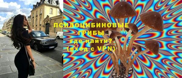 тгк Ступино