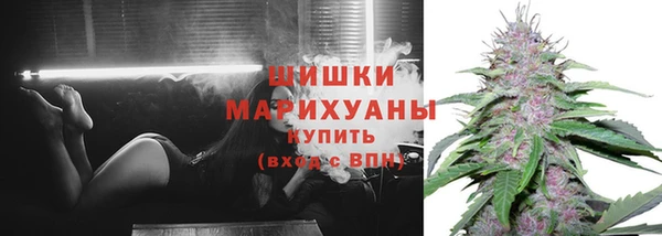 твердый Сосновоборск
