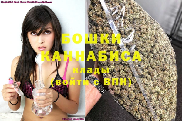 гидра Сосновый Бор