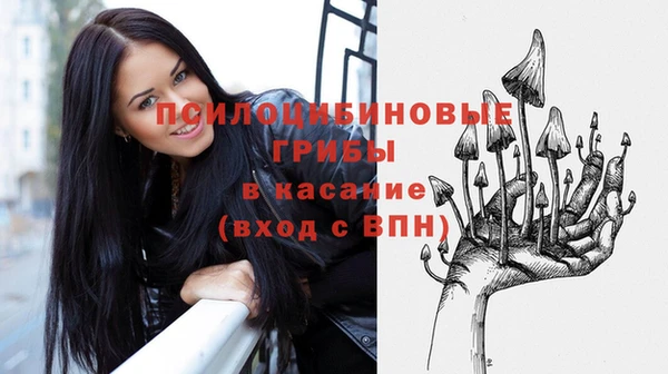 твердый Сосновоборск