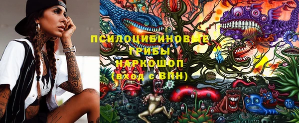 твердый Сосновоборск