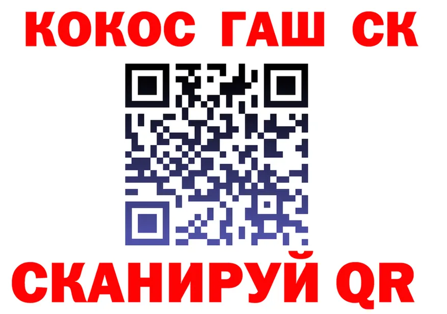 ГЕРОИН гречка зеркало площадка МЕГА Новодвинск