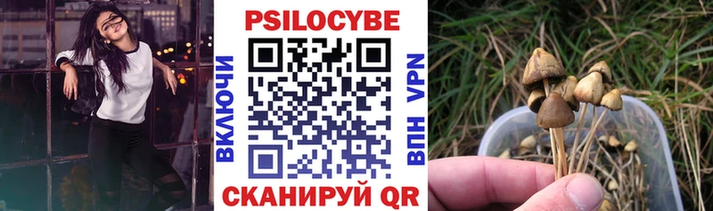 Купить закладки  Новодвинск  Галлюциногенные грибы Psilocybine cubensis 