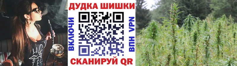 Купить где  Новодвинск  Марихуана семена 